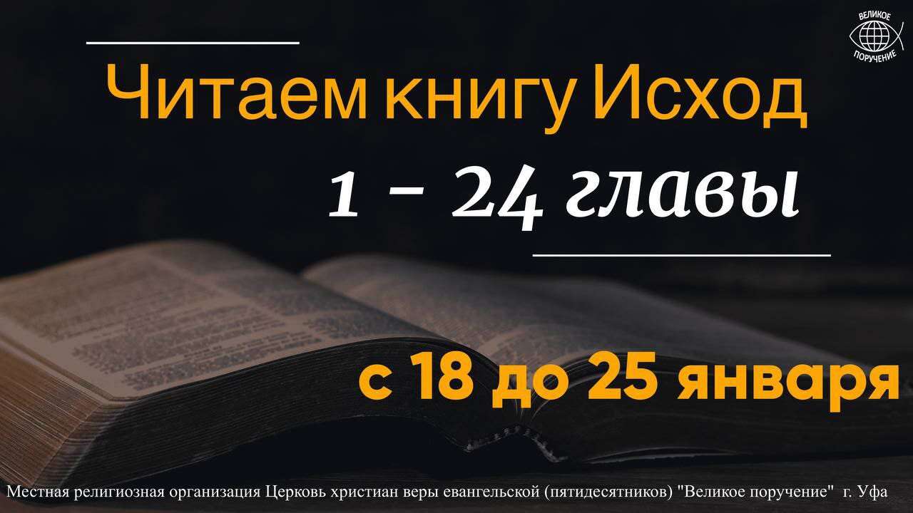 photo_2026-01-15_06-19-45